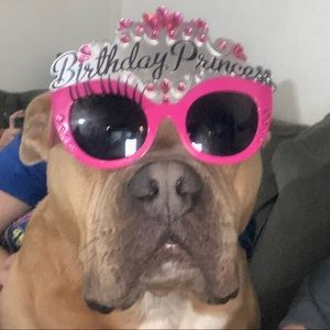 Meet your Posher, Abel